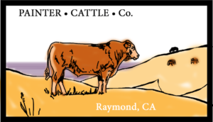 Painter Cattle